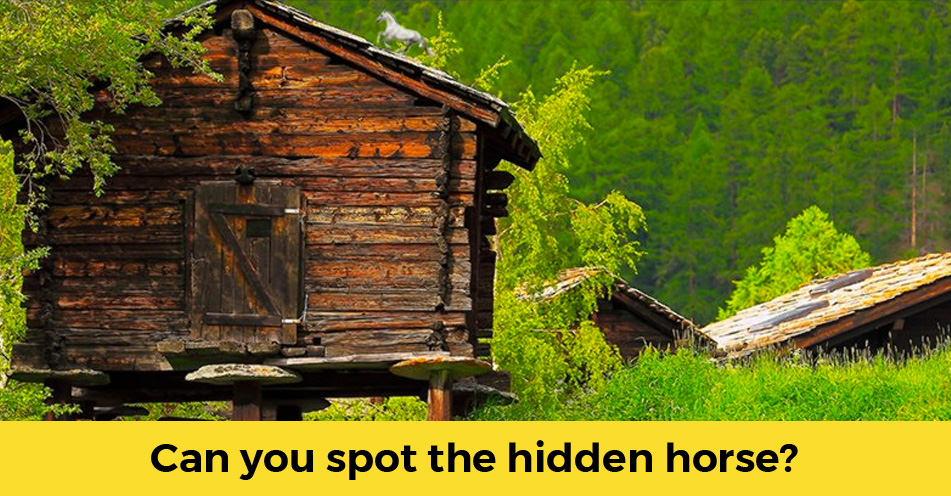 hidden-horse-jpg-how-to-lose-weight
